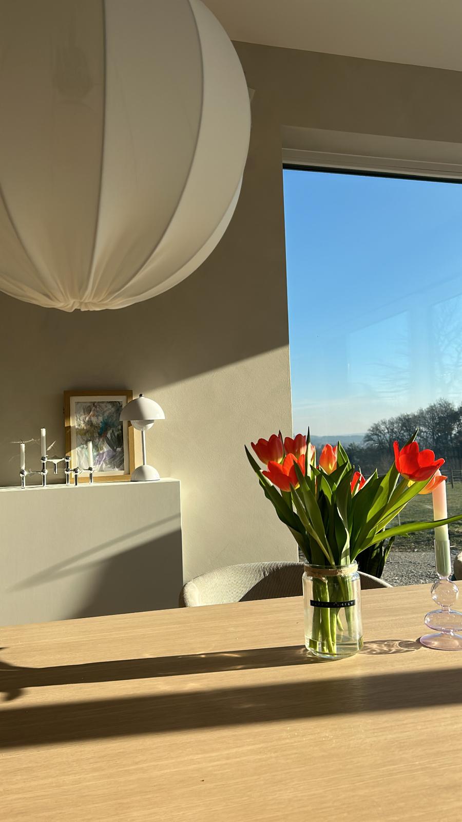 PHOTO-2026-02-19-11-02-16