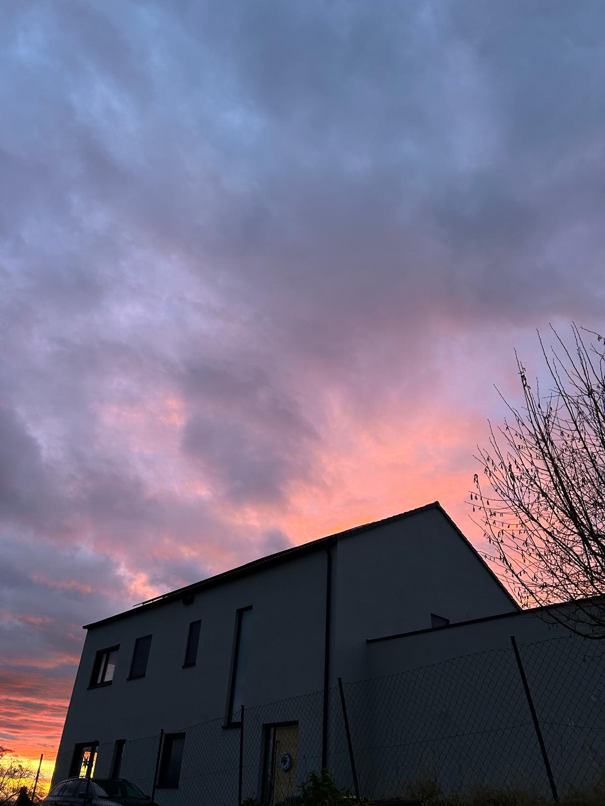 PHOTO-2026-02-19-11-02-17 (8) (1)